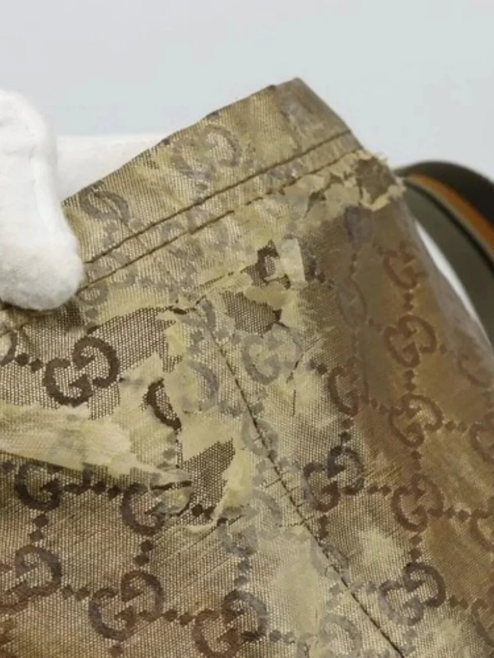 Gucci brand	gucci color	beige